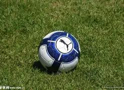 赵子龙彩迷,秘籍,双色球,武汉体彩,武汉体彩网,武汉体彩网官网,体育彩票,体彩大乐透,竞彩足球,体彩公益