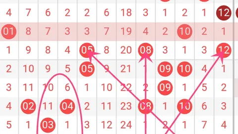 第2026065期 排列五2026065期磊达专家质合推荐分